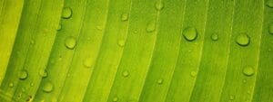 Is Autumn Humidity Making My Home Dustier?