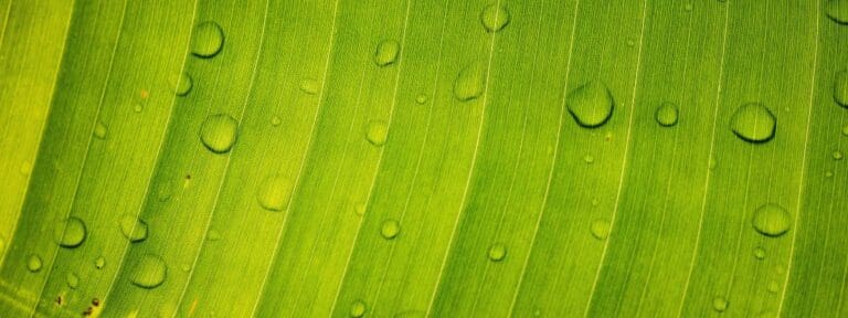 Read more about the article Is Autumn Humidity Making My Home Dustier?