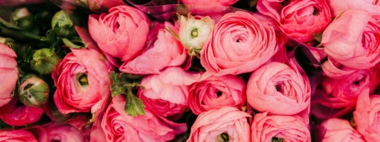 Read more about the article Reduce Pollen in Your Home
