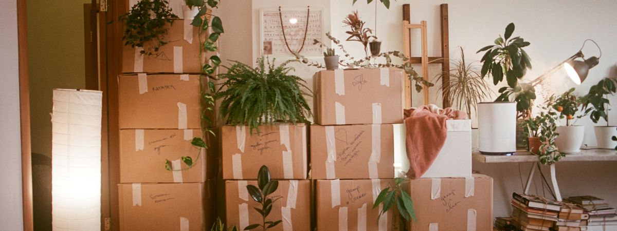 Read more about the article Should You Hire a Move In Cleaner? Here’s When It Helps